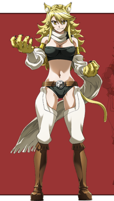 Akame Ga Kill! Night Raid Leone Cosplay Costume