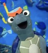 Neptune the Turtle