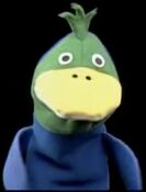 Antonio the Duck
