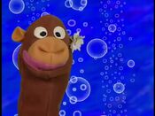 Jane the Monkey