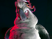 Nigel