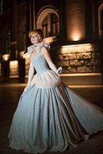 Ellumiel Cinderella 2.jpeg (710 KB)