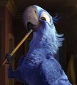 Blu