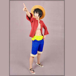 luffy time skip cosplay