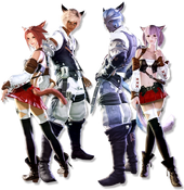 Miqo’te