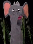 Noah the Elephant