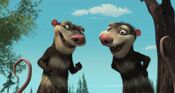 Crash and Eddie