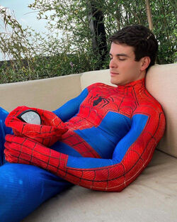 Spider-Man | The Cosplay Wiki | Fandom