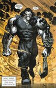 Lobo