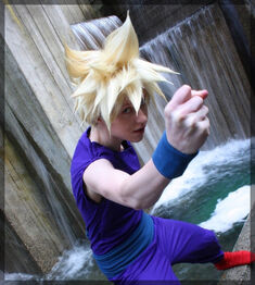 Twinfools : Gohan