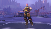 Zarya goldenrod