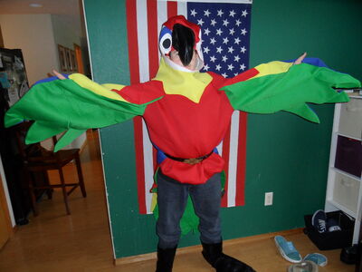 birdman superhero costume