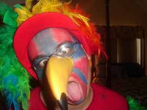 Parrot Costume (2)