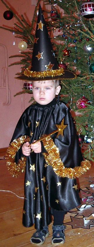 Wizard | Costume Wiki | Fandom