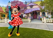 Minnie's Toontown outfit