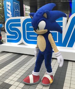 Sonic the Hedgehog, Costumed Characters Wiki