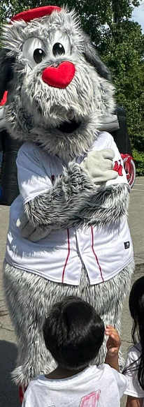 Woo Sox, Costumed Characters Wiki