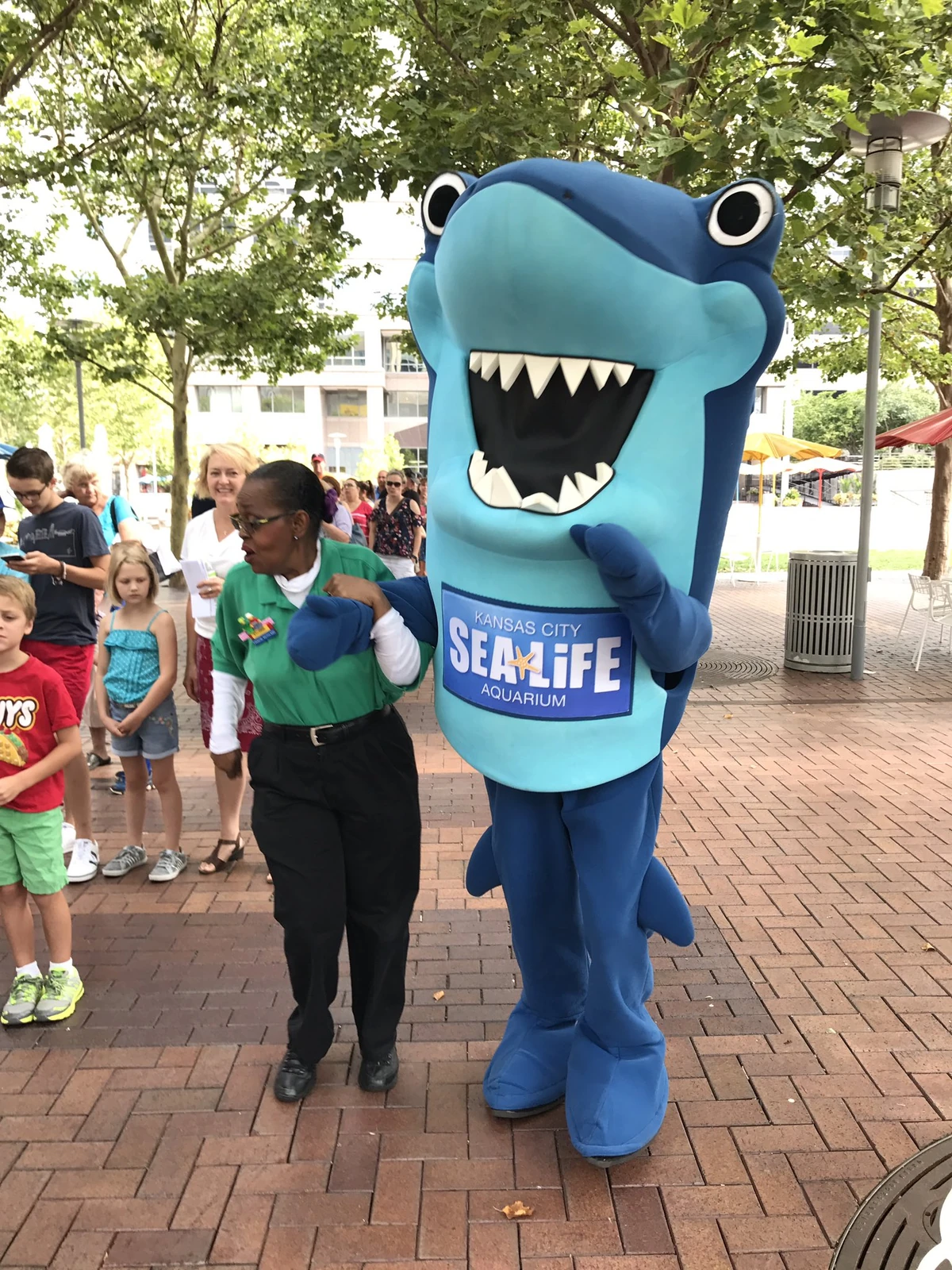 Sharky Sea Life Costumed Characters - 1200