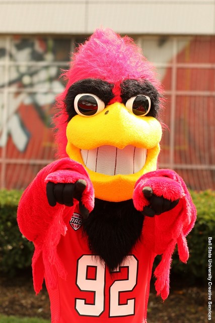 Cardinal Mascot Uniform - Made in the USA