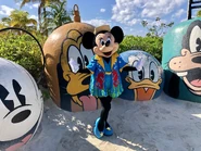 at Castaway Cay