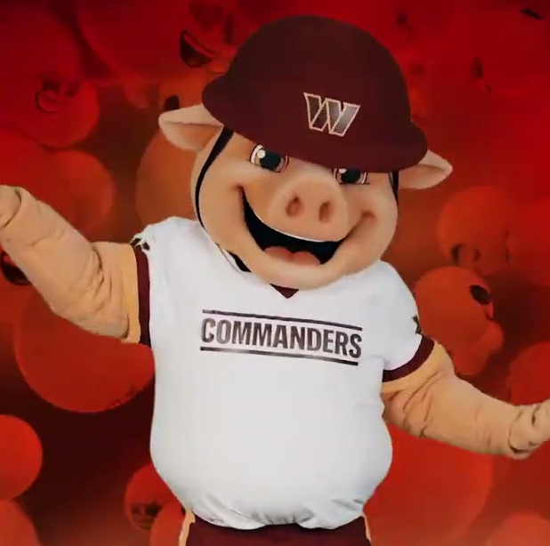 Washington Commanders announce new hog mascot, Major Tuddy