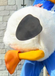 A closeup of the mentioned black sole