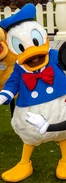 Donald Duck in Mickey's Toontown
