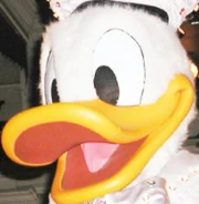 A sight into the female Cast Member playing Donald Duck