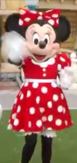 Minnie Mouse, Costumed Characters Wiki