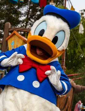Donald 2024 duck costume