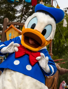 donald duck disneyland