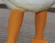 Donald’s legs