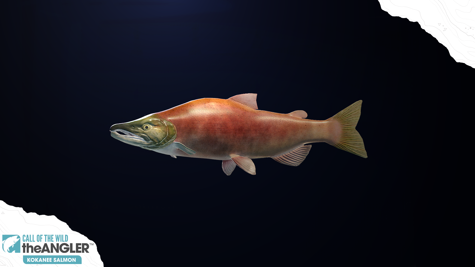 Salmon Kokanee Call of the Wild The Angler Wiki Fandom