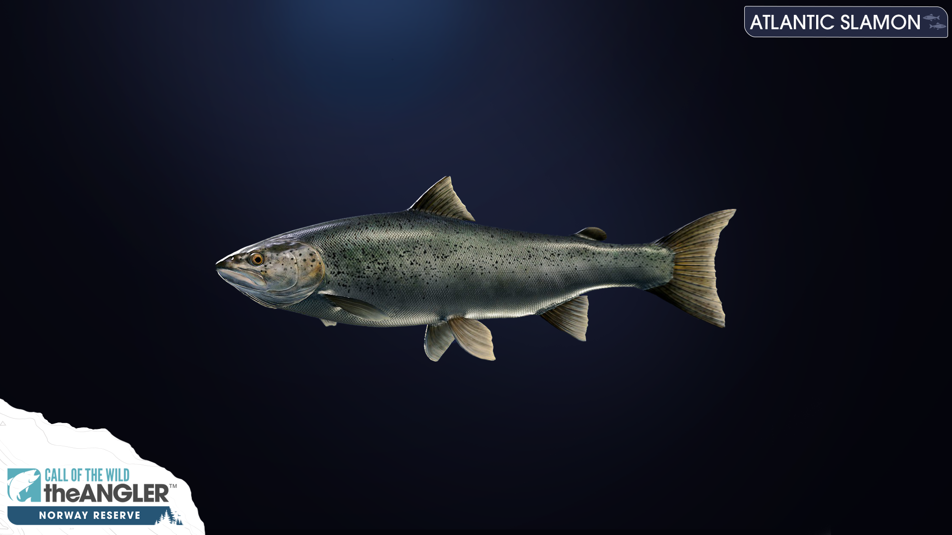 Salmon Atlantic Call of the Wild The Angler Wiki Fandom