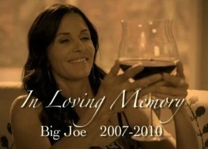 Big Joe | Cougar Town Wiki | Fandom