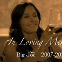 Big Joe Cougar Town Wiki Fandom Courteney cox' character, jules, has a very special relationship with wine.