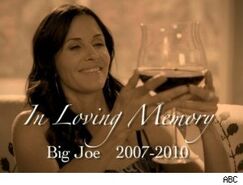Cougartownripbigjoe300x200