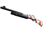 Nova Koi