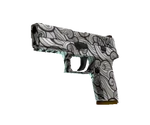 P250 Dym z lufy