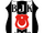 Beşiktaş Esports