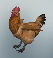 1620130304 gold-chicken.png (87 КБ) Золотая курица