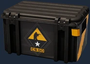 Внутриигровая модель оружейного кейса CS:GO