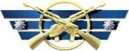 Skillgroup13 wingman-1-.png (24 КБ) Магистр-хранитель — Элита