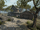 Safehouse