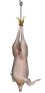 Chicken dead csgo-1-.png (52 КБ) Мёртвая курица