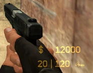 В руках (Counter-Strike: Source)