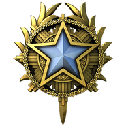Медаль за службу в 2020 1-го уровня