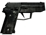 W p228 cz.png (61 kB) Versión del Condition Zero