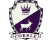 Set cobblestone-1-