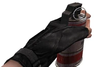 Versión del Counter-Strike: Condition Zero en uso